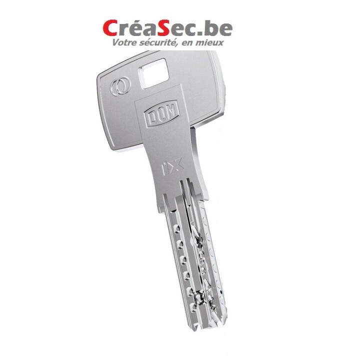 cylindre ISEO R9 30-30