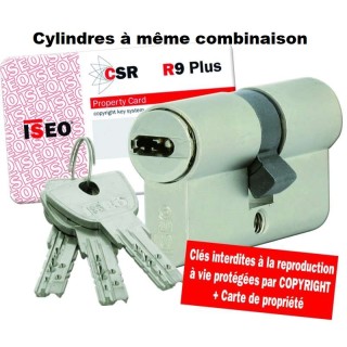cylindre ISEO R9 30-30