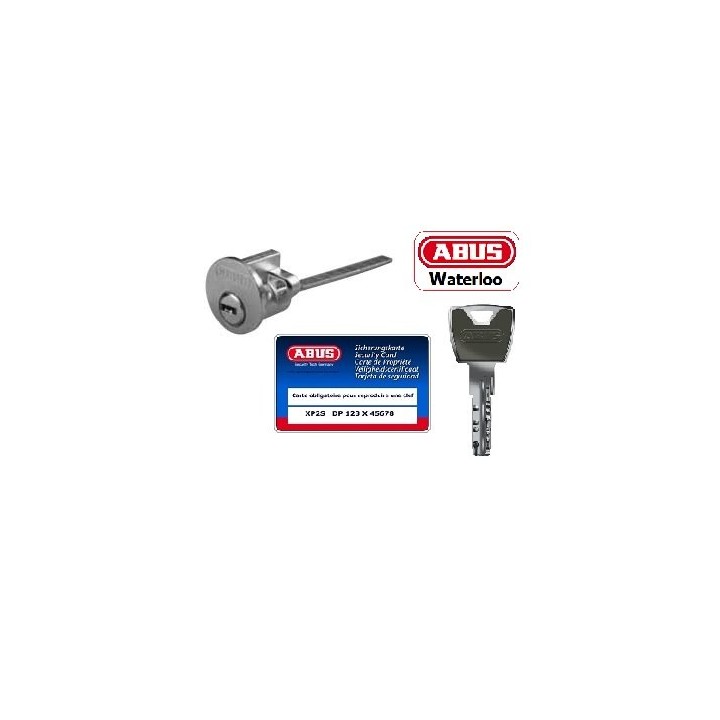 cylindre ISEO à languette