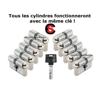 Cylindre Mul-T-Lock 600 avec la meme clé