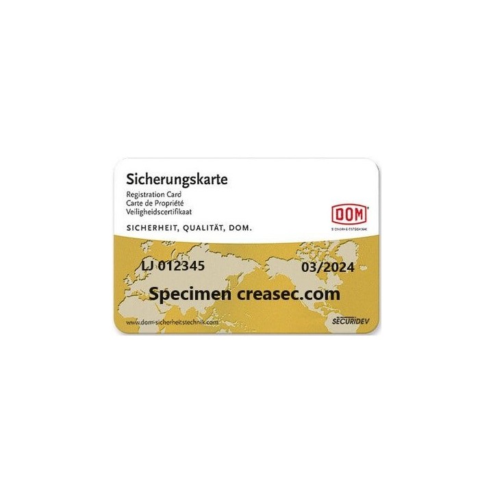 Copie de clé Dom ix Saturn