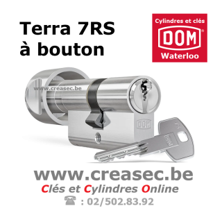 Cylindre Dom Terra à bouton
